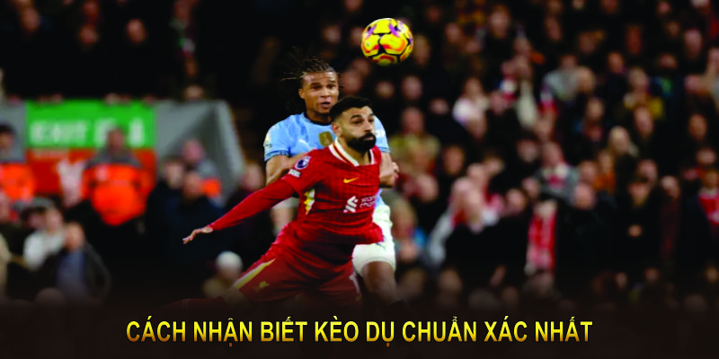 Cách nhận biết kèo dụ chính xác giúp người chơi tránh xa những kèo bất lợi