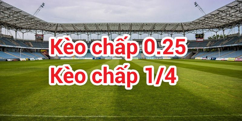 Kèo châu Á 1/4 cũng được rất nhiều người chơi lựa chọn