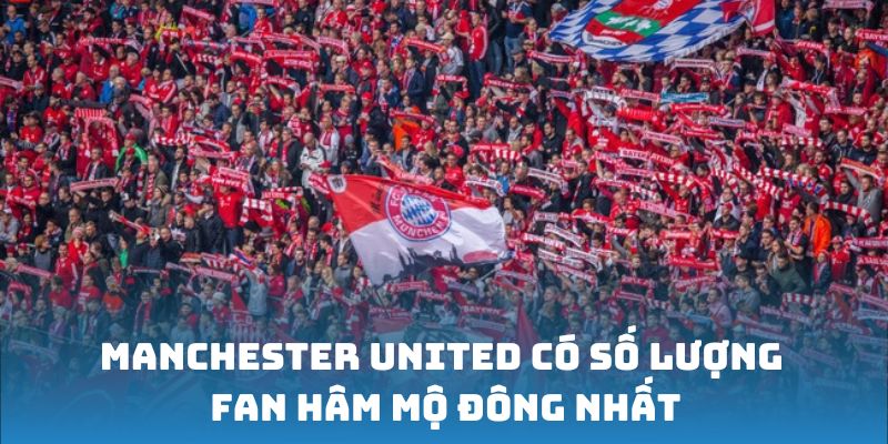 Manchester United có số lượng fan hâm mộ đông nhất